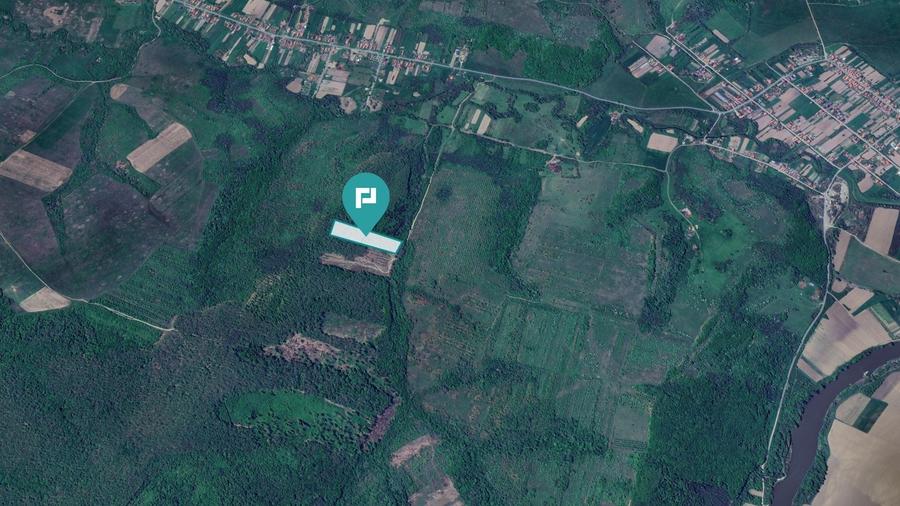 Teren extravilan de 23000 mp, în Dorgoș