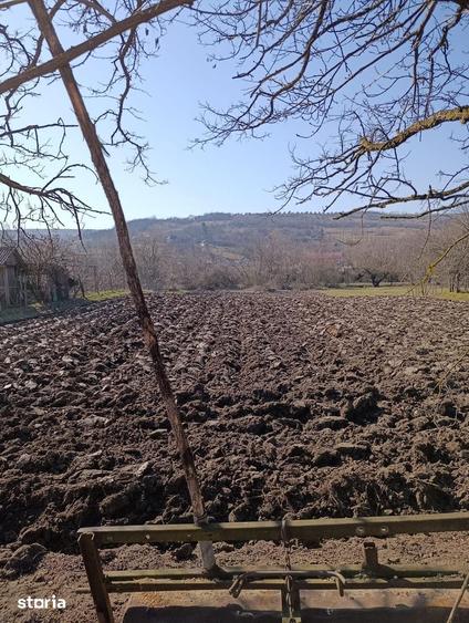 Teren de 1046 mp, în Borșa