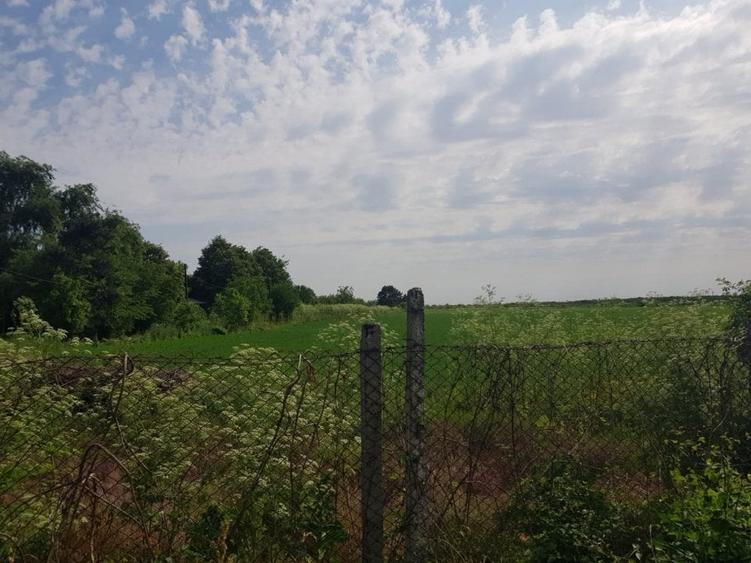Teren Construcții intravilan de 370000 mp, în Adunații-Copăceni