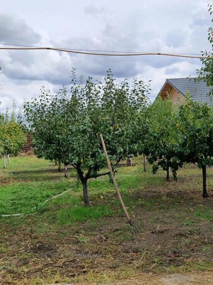 Casă cu 3 camere cu Teren 2000 Mp în Glodeanu-Siliștea