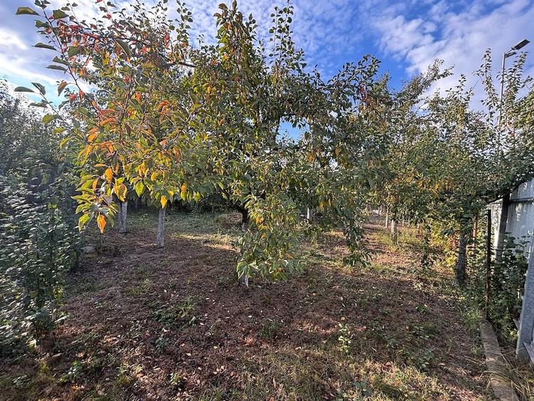 Casă cu Teren 413 Mp în Central
