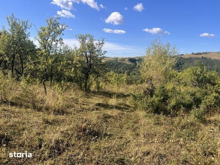 Teren de 20000 mp, în Stremț