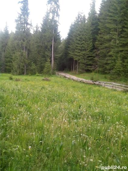Teren de 6000 mp, în Ghețari