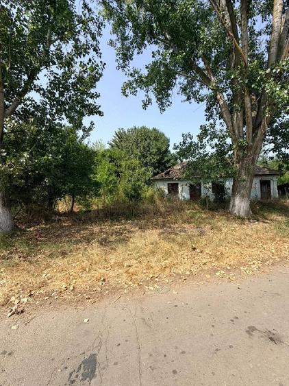 Casă cu 3 camere cu Teren 2000 Mp în Central