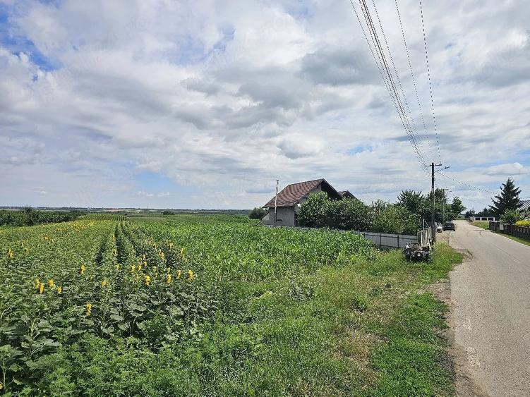Teren de 4700 mp, în Prelipca