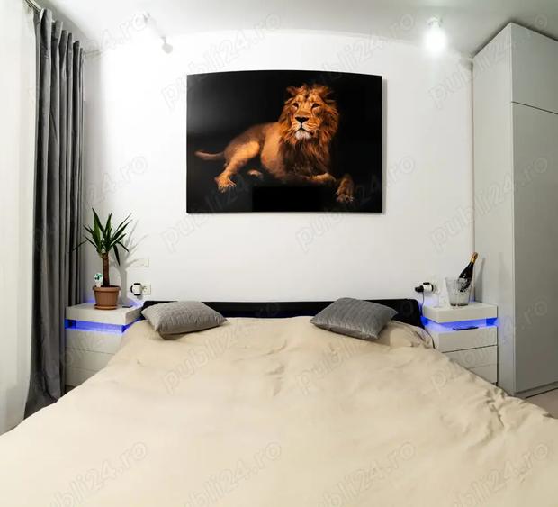 Apartament cu 2 camere semidecomandat în Viilor