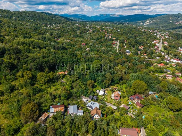 Teren Construcții intravilan de 3886 mp, în Podul Vadului