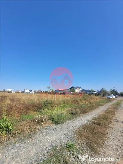 Teren Costinesti 1000 mp, Aproape de Plaja si de Nibiru, Ide - 2