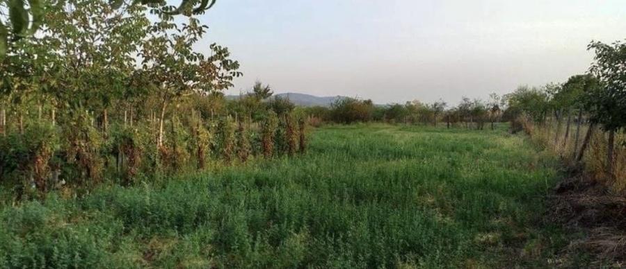 Casă cu 3 camere în Șiria