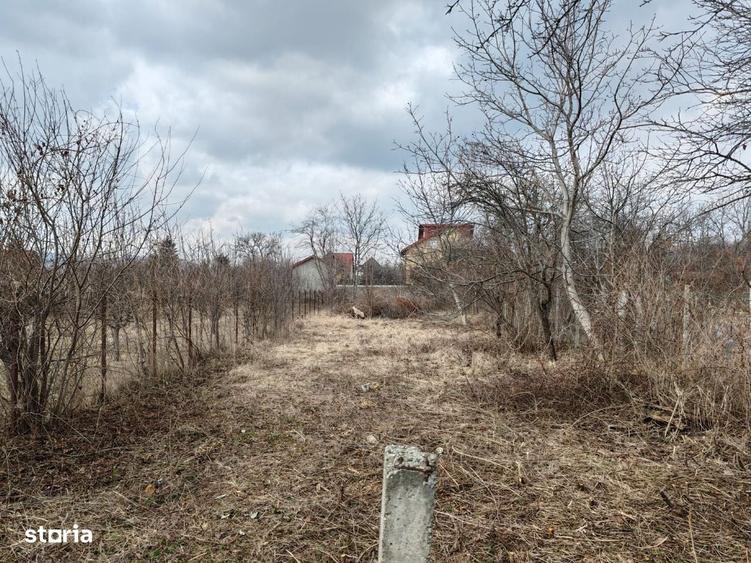 Cornu de Jos - casa Batraneasca + teren 1343mp - 60000 Euro - 6