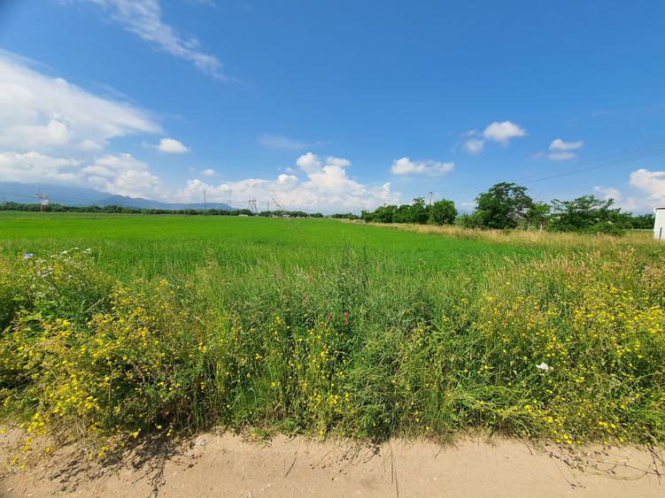 Teren Construcții intravilan de 4300 mp, în Sânpetru