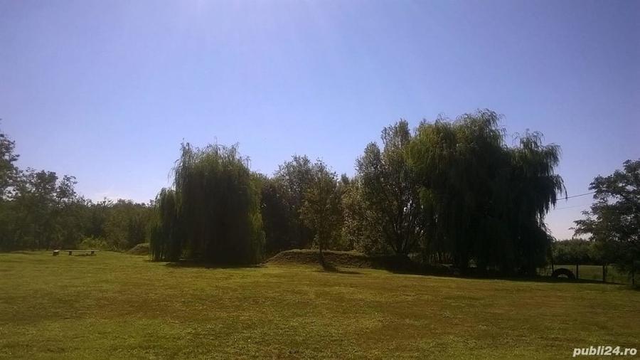 Casă cu Teren 6500 Mp în Șimian
