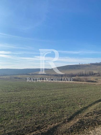 Teren agricol extravilan de 3900 mp, în Sud-Est