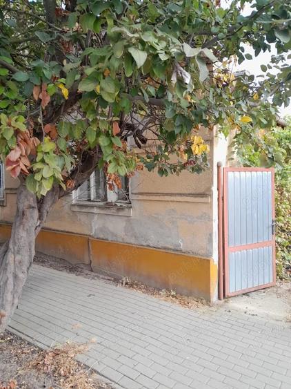 Casă cu 4 camere cu Teren 10000 Mp în Igriș