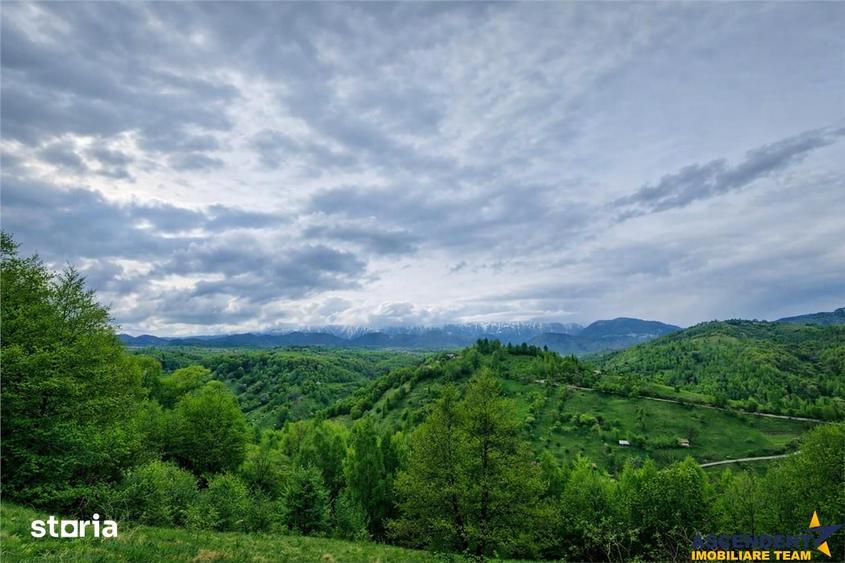 Teren de 6966 mp, în Fundata