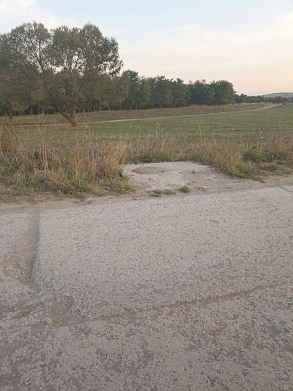 Teren agricol extravilan de 1500 mp, în Arcuș
