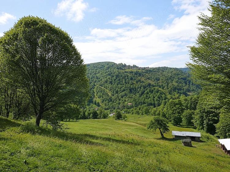 Teren de 2746 mp, în Alexandru cel Bun