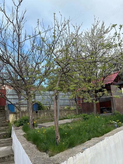 Casă cu 6 camere cu Teren 430 Mp în Anina