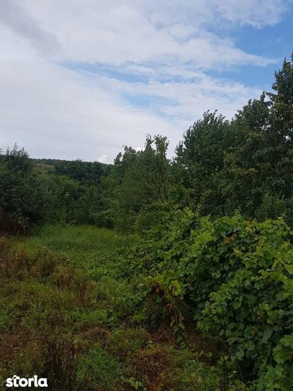 Teren de vanzare in Bucium, 1000mp, acces asfaltat - 1