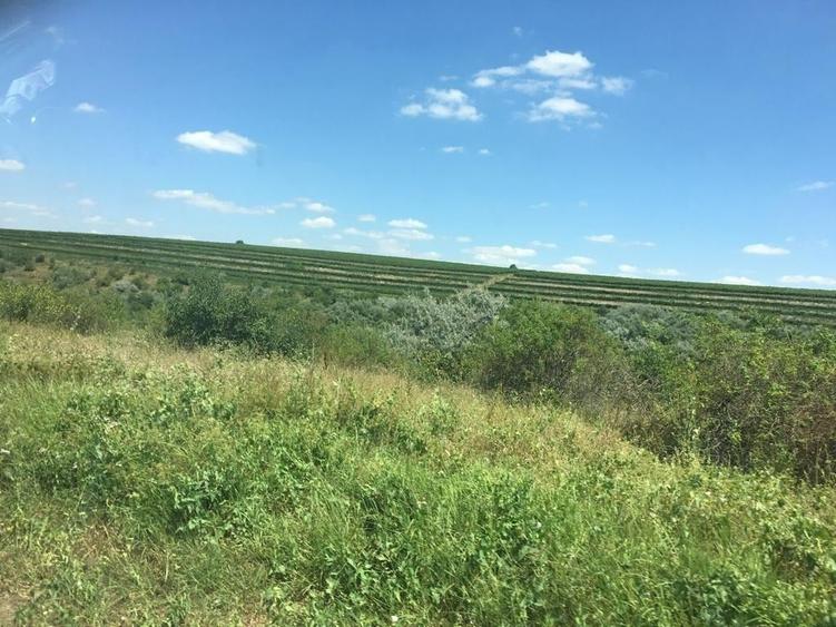 Teren agricol extravilan de 15 mp, în Ostrov