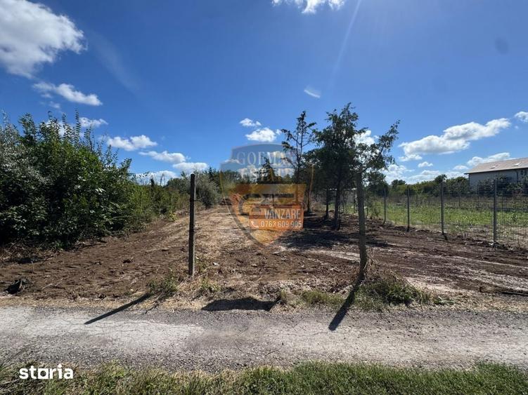 TEREN 900 MP IN JUPITER | INTRAVILAN, FARA SARCINI | INVESTI?IE LIT - 2