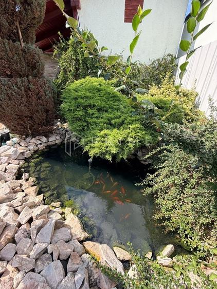 Casă individuală cu 6 camere cu Canalizare în Dâmbu Pietros