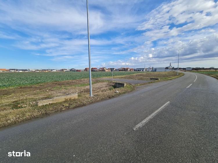 Teren de 790 mp, în Vladimirescu