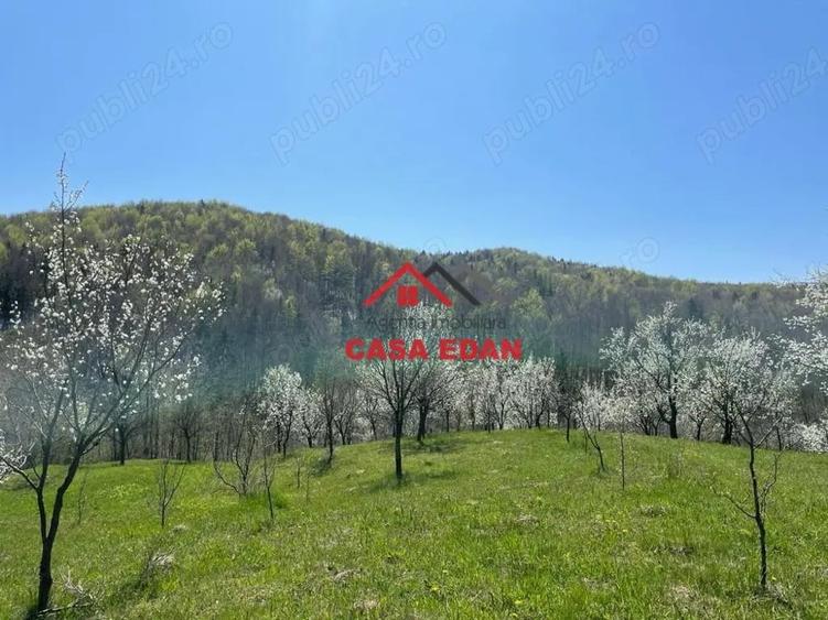 Teren de 9104 mp, în Brebu