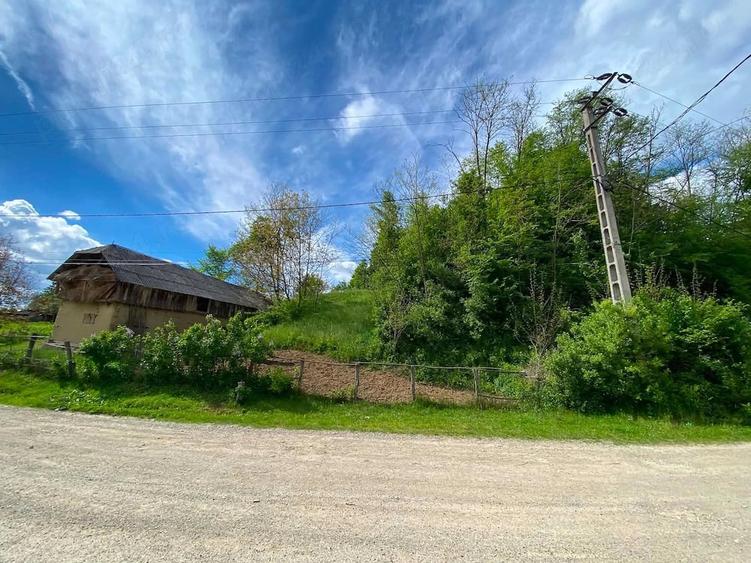 Teren de 9500 mp, în Livezi