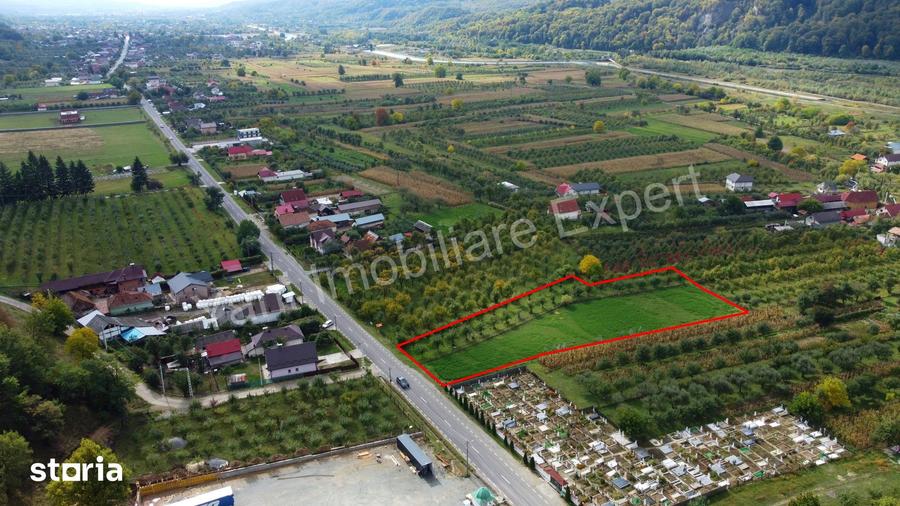 Teren de 2619 mp, în Corbeni