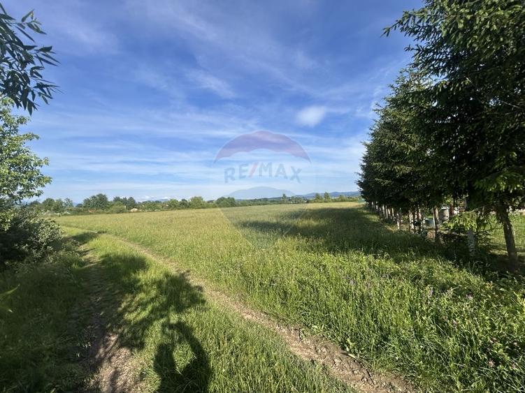 Teren Construcții intravilan de 6200 mp, în Coltău