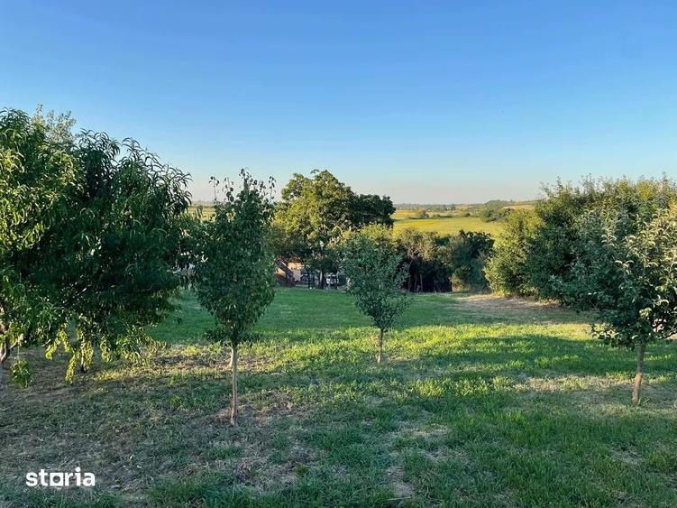 Casă cu 3 camere cu Teren 1439 Mp în Central