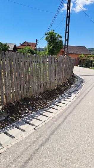 Teren intravilan, Albestii Pamanteni - 1