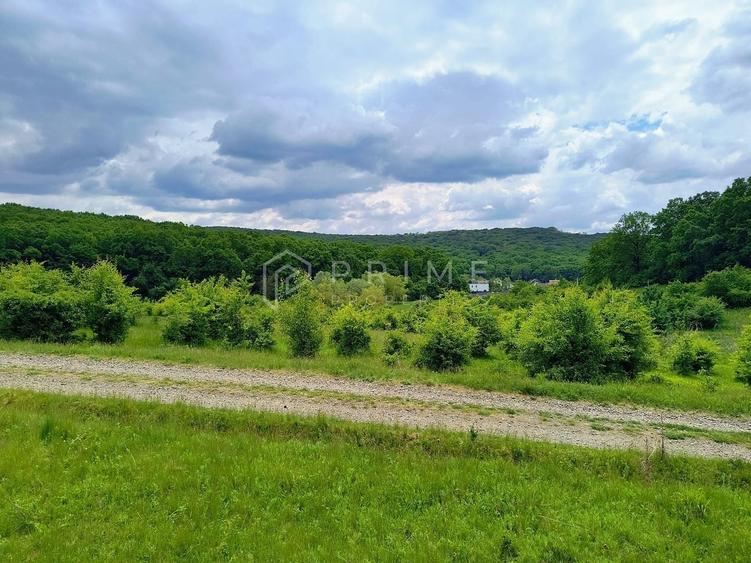 Teren Construcții intravilan de 11600 mp, în Corunca