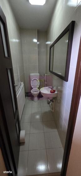 Casă cu 8 camere cu Teren 500 Mp în Castelul Peleș