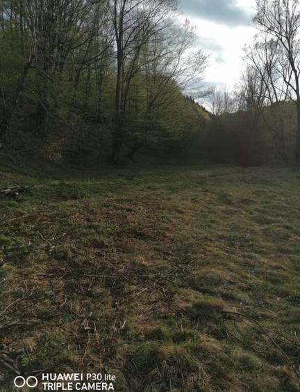 Teren intravilan de 10001 mp, în Central