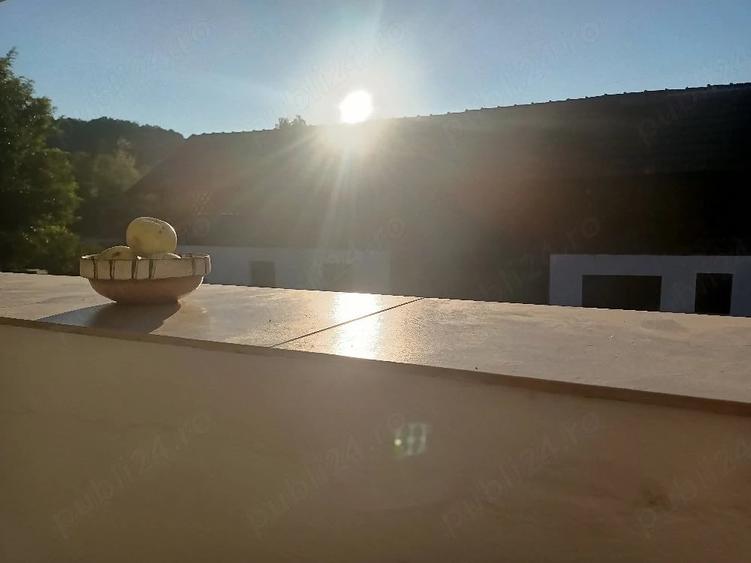 Casă cu Teren 2000 Mp în Bujoreni