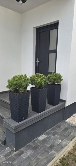 Casă cu 3 camere cu Teren 300 Mp în Tărlungeni