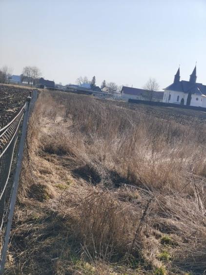 Teren Construcții intravilan de 3014 mp, în Frătăuții Vechi
