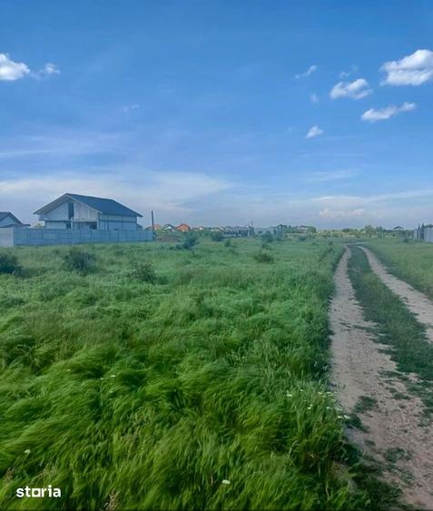 Teren Hanul cu Ponei 25000 euro - 2