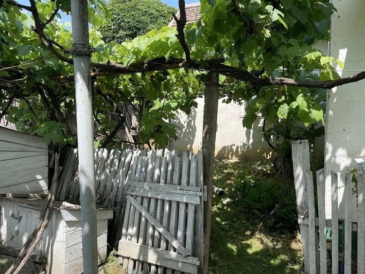 Casă cu Teren 3219 Mp în Căuașd