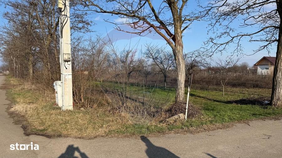 Teren de 2300 mp, în Vânători