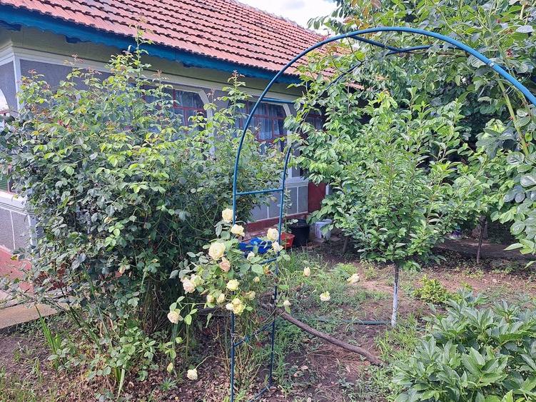 Casă cu 4 camere cu Teren 1280 Mp în Sinești