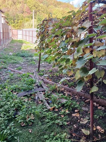 Casă cu Teren 200 Mp în Central
