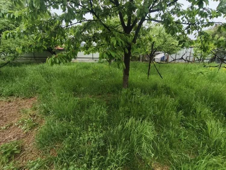Casă cu 4 camere cu Teren 1767 Mp în Rădăuți