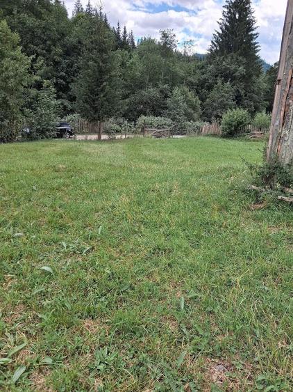 Teren de 10000 mp, în Sadova