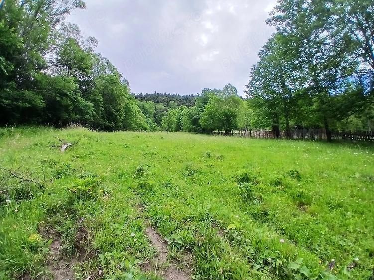 Teren de 2300 mp, în Valea Doftanei
