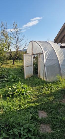 Casă cu 3 camere în Ludoș