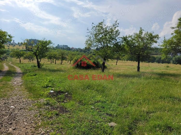 Casă cu Teren 1490 Mp în Voila