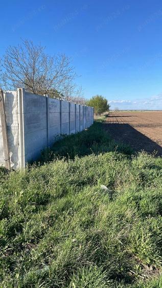 Teren de 18000 mp, în Dascălu